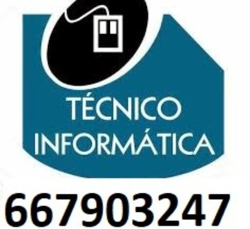 servicios informaticos a domicilio